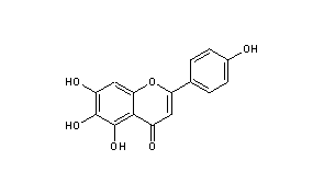 Scutellarein