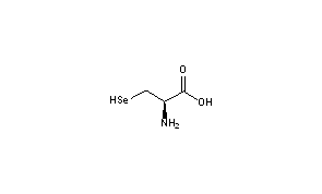 Selenocysteine