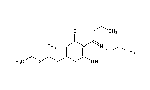 Sethoxydim