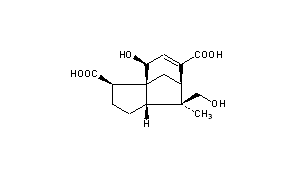 Shellolic Acid