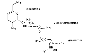 Sisomicin