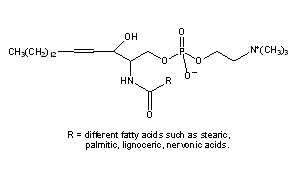 Sphingomyelins