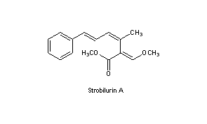 Strobilurins