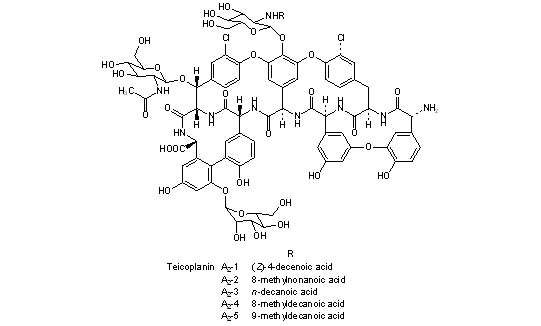 Teicoplanin