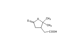 Terpenylic Acid