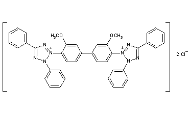 Tetrazolium Blue