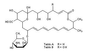 Tetrin