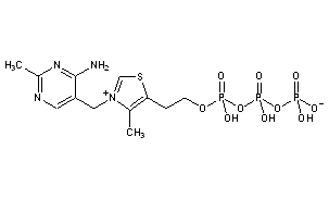 Thiamine Triphosphate