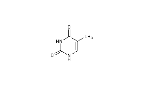 Thymine