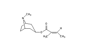 Tigloidine