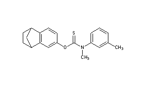 Tolciclate