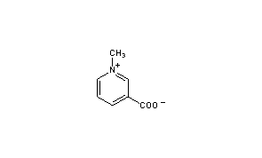 Trigonelline