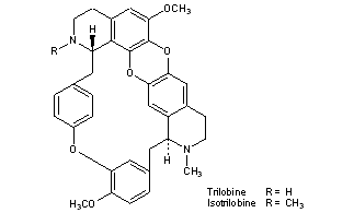 Trilobine