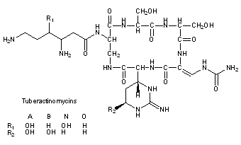 Tuberactinomycin