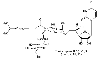 Tunicamycin