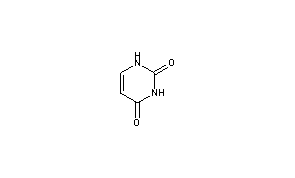 Uracil