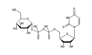 Uridine Diphosphate Glucose