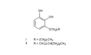 Urushiol