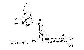 Validamycins