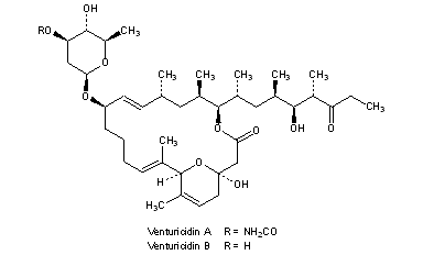 Venturicidins