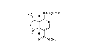 Verbenalin