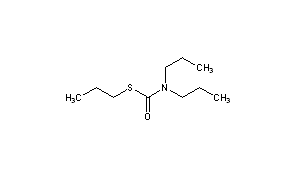 Vernolate