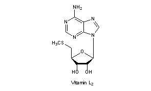 Vitamin(s) L