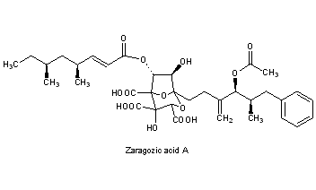 Zaragozic Acids