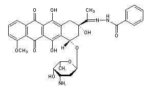 Zorubicin